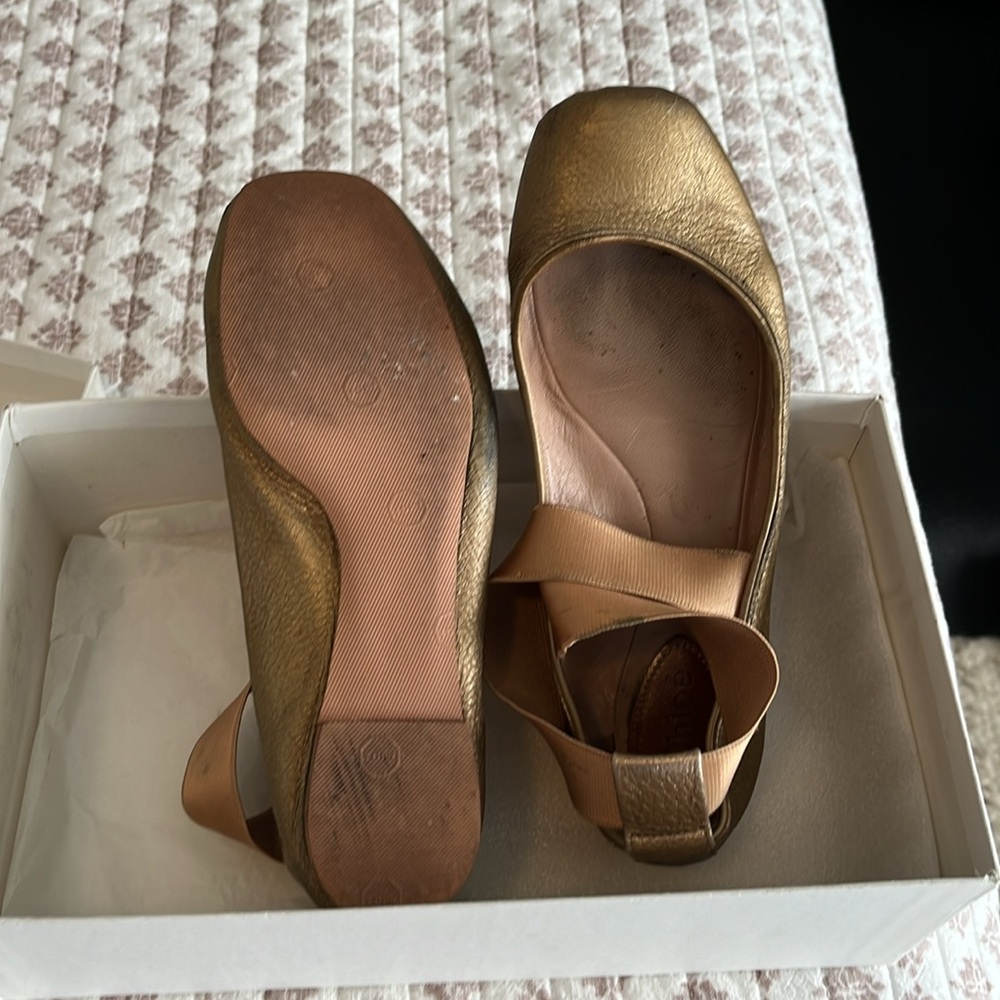 Chloe Ballet Shoes